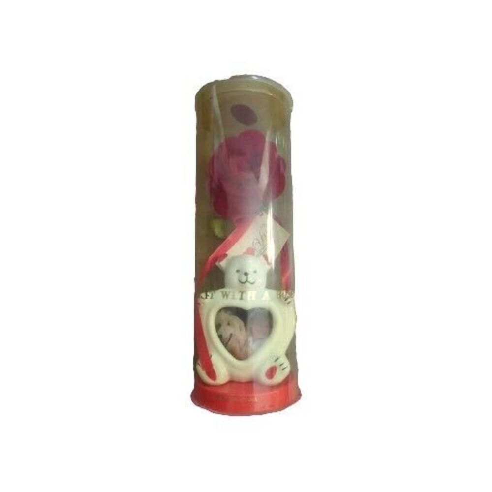 Vintage Say it with a Rose Novelty Inc 11156 Bear Picture Frame